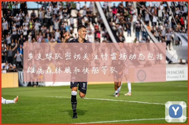 多支球队密切关注特雷杨动态包括雄鹿森林狼和快船等队