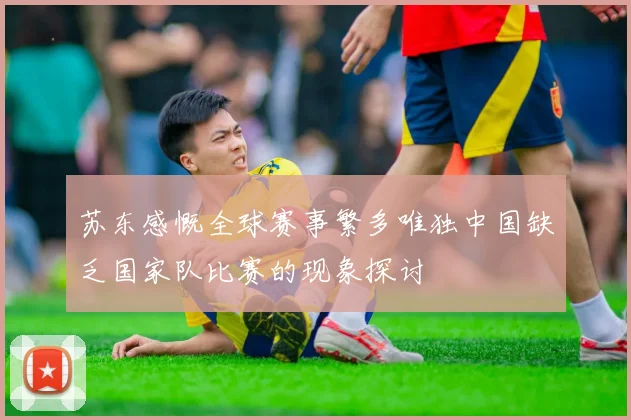 苏东感慨全球赛事繁多唯独中国缺乏国家队比赛的现象探讨