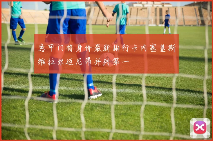 意甲门将身价最新排行卡内塞基斯维拉尔迈尼昂并列第一