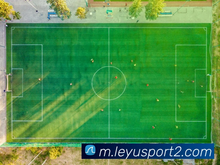 乐鱼体育品牌故事