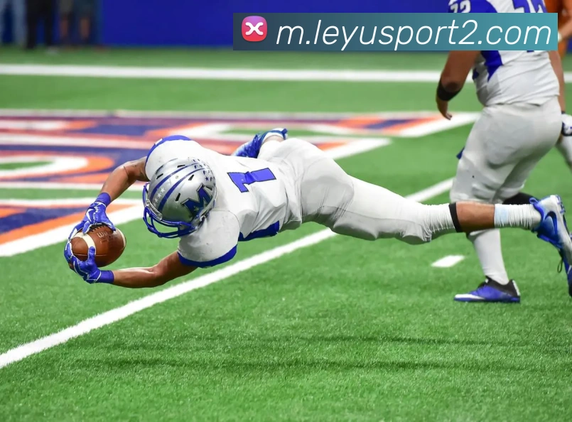 乐鱼体育服务体系