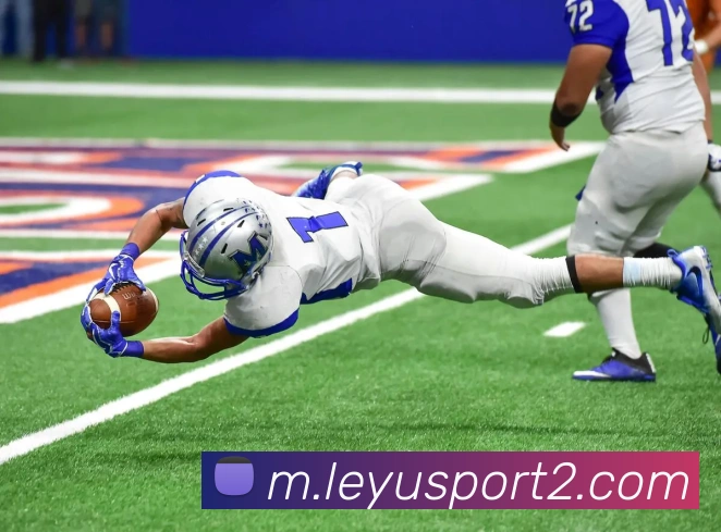 乐鱼体育APP 体育赛事宣传图